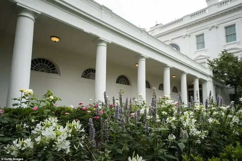 giardino delle rose con i trump 1