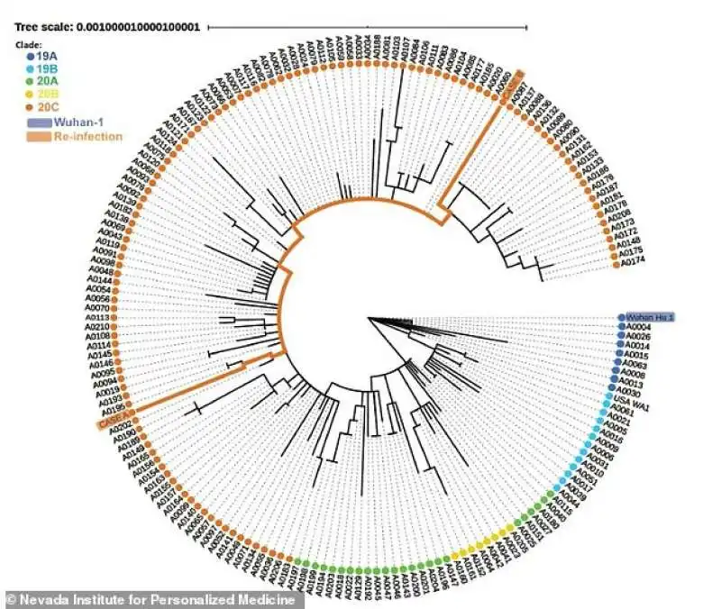 il 25enne in nevada infettato con due ceppi diversi