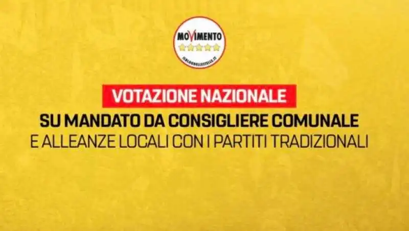 IL VOTO SU ROUSSEAU PER IL MANDATO ZERO E LE ALLEANZE