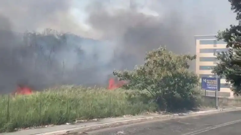 incendio gra roma 1