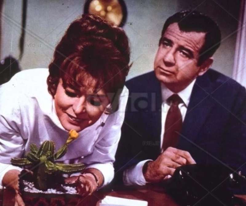 ingrid bergman walter matthau fiore di cactus