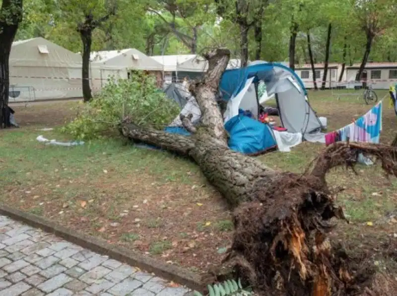 marina di massa - la tenda delle due sorelle colpita dall'albero