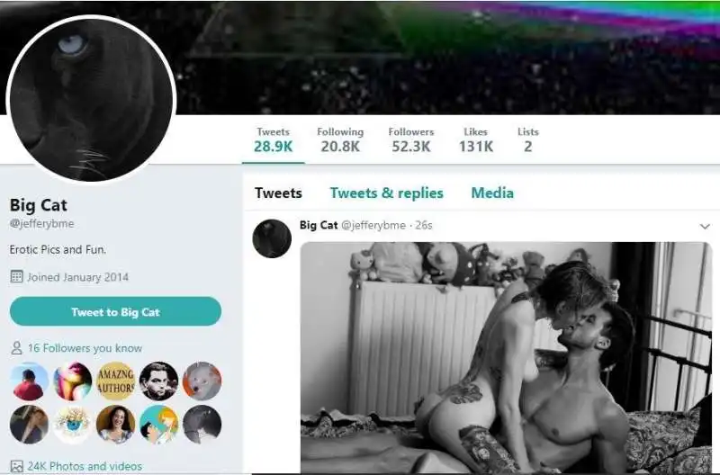 porno su twitter 10