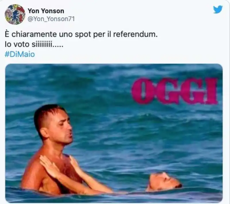 tweet su di maio al mare con virginia saba