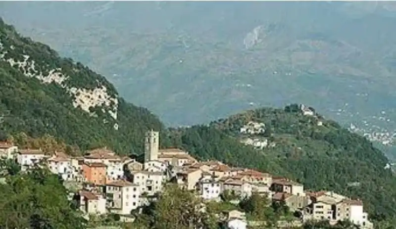 vergemoli  