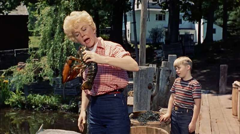 doris day attenti alle vedove