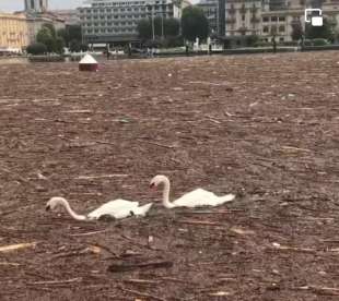 esonda il lago di como 2