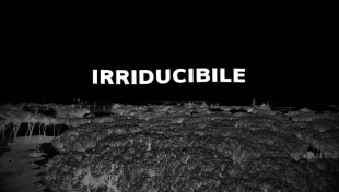 fabrizio piscitelli - irriducibile