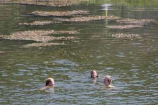 firenze turiste nude in arno