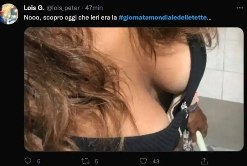 giornata mondiale delle tette   tweet 1