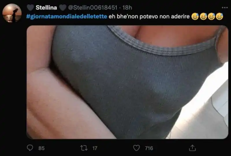 giornata mondiale delle tette   tweet 17