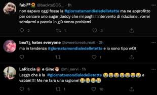 giornata mondiale delle tette tweet 32