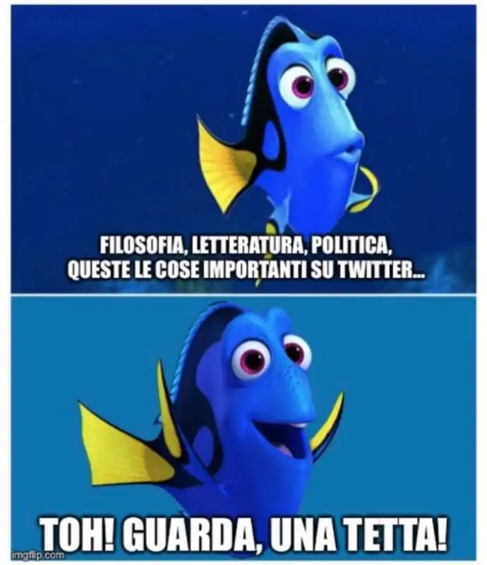 giornata mondiale delle tette   tweet 34