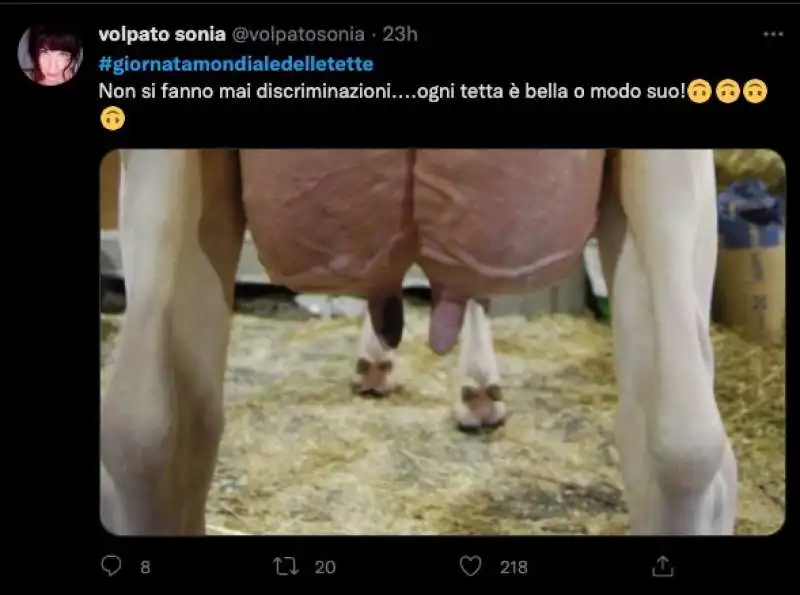 giornata mondiale delle tette   tweet 8