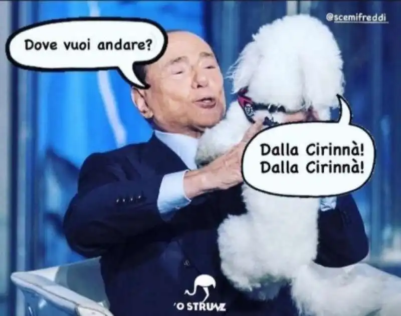 I SOLDI NELLA CUCCIA DEL CANE DELLA CIRINNA - MEME