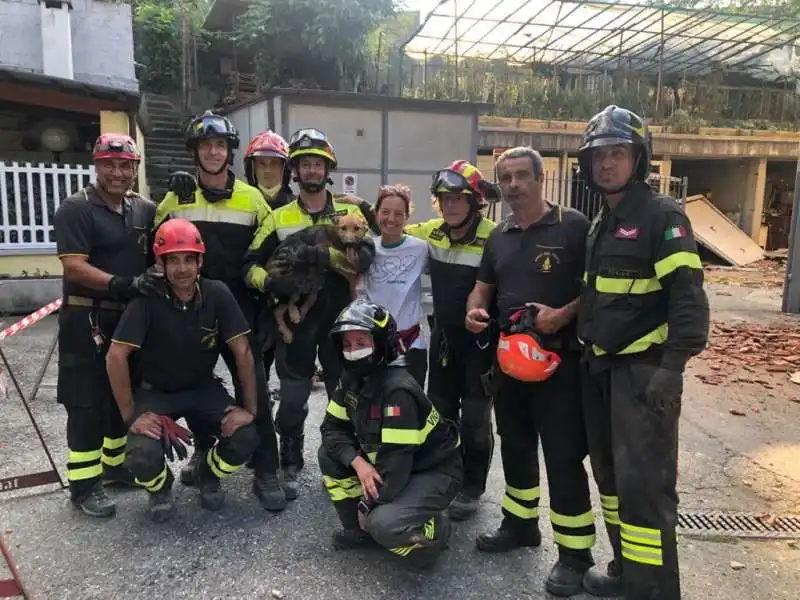 il cane ettore salvato a torino 1