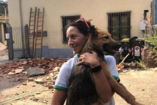 il cane ettore salvato a torino 3