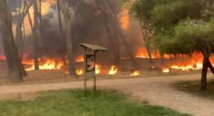 incendi a pescara 5