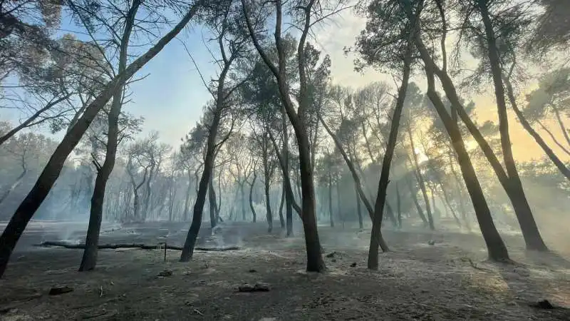 incendi a pescara 7