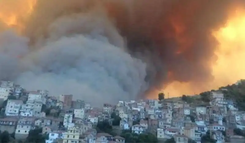 incendi algeria 1