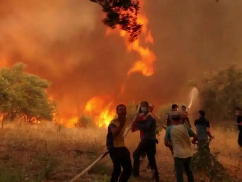 incendi algeria 2