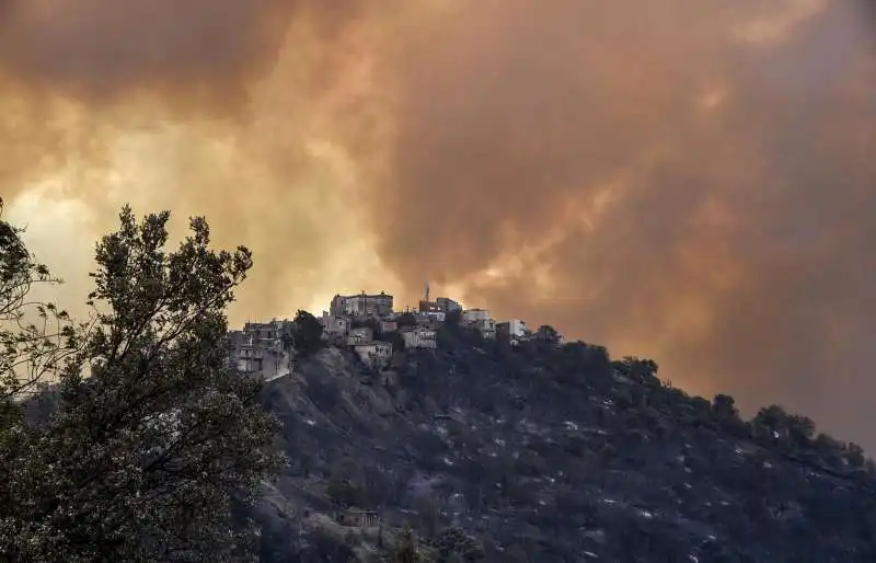 incendi algeria 3