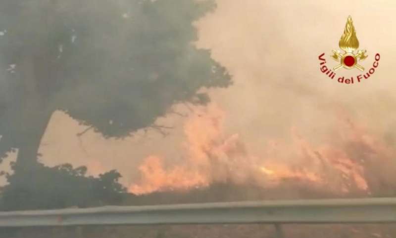 incendi in calabria 1