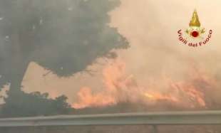 incendi in calabria 1