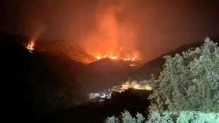 incendi in calabria