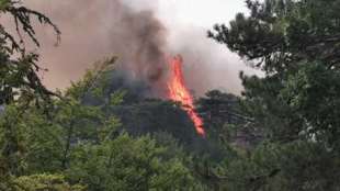 incendi in calabria