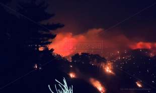 incendi in calabria 2