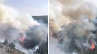 incendi in calabria 3