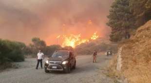 incendi in calabria 4