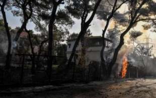 incendi in grecia