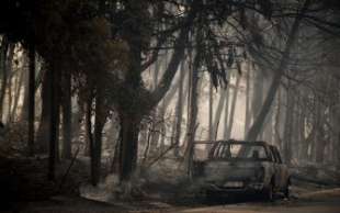 incendi in grecia 2