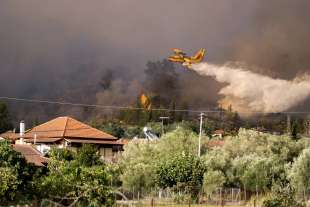 incendi in grecia 3