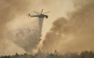 incendi in grecia 4