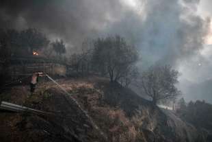 incendi in grecia 5