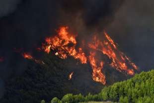 incendi in grecia 6