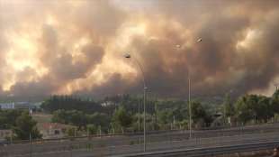 incendi in grecia 9