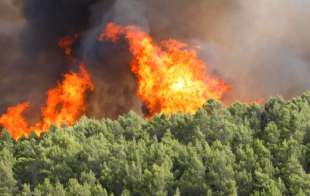 incendi in provincia di ragus 2