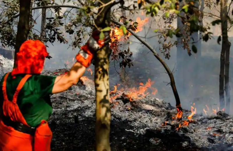 incendi in provincia di ragus 4