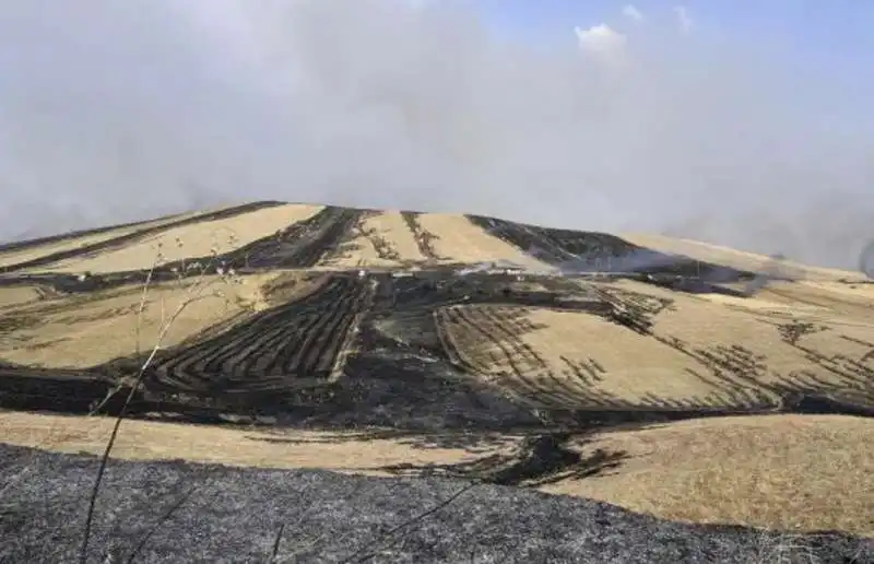 incendi in sicilia