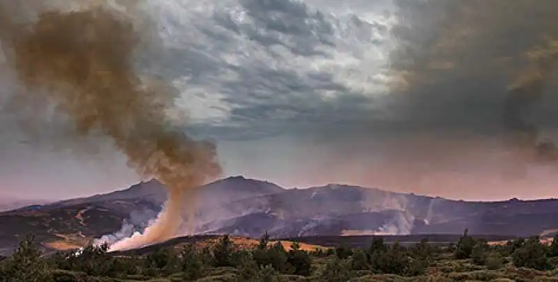 incendi navalcruz spagna 13