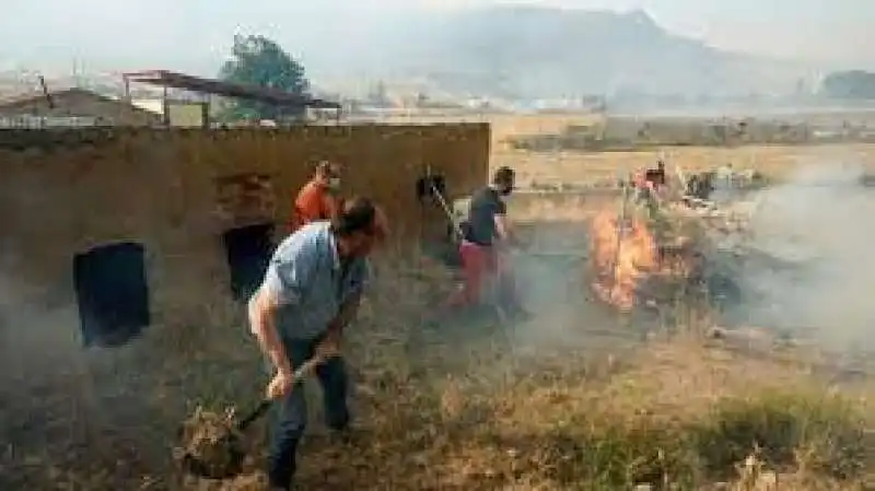 incendi navalcruz spagna 7