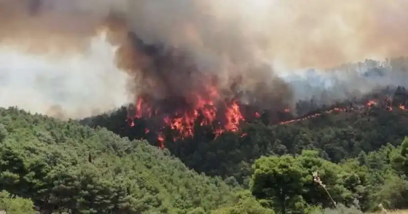 incendi sicilia 