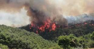 incendi sicilia