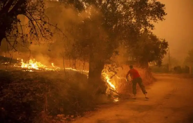 incendi sull' isola di evia in grecia 12