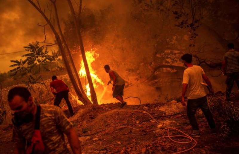 incendi sull' isola di evia in grecia 2