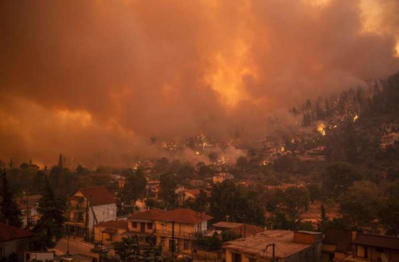 incendi sull' isola di evia in grecia 4